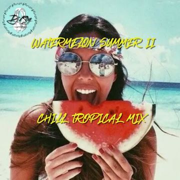 2024 Dj Roy Watermelon Summer 2 ** Chill Tropical House