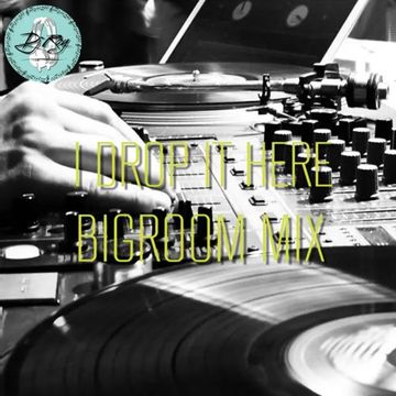 2023 Dj Roy I Drop It Here * Bigroom Mix