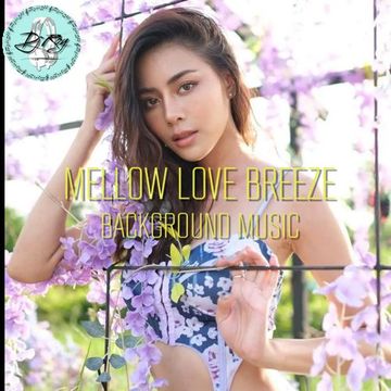 2023 Dj Roy Mellow Love Breeze * Background Music