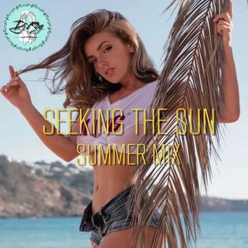 2023 Dj Roy Seeking the Sun * Summer Mix