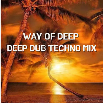 2024 Dj Roy Way Of Deep * Deep Dub Techno