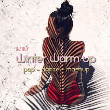 2021 Dj Roy Winter Warm Up - Pop Dance Mashup