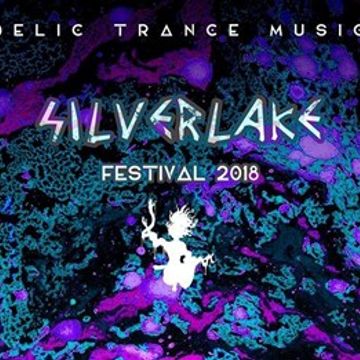 silver lake  festival 2018 psychedelic trance  LaMore 19.08.