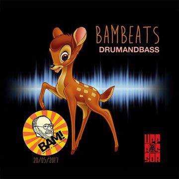 BAM goes Bonkers 2017