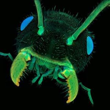 Underground Session 26