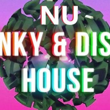 381- Nu Funky Disco House