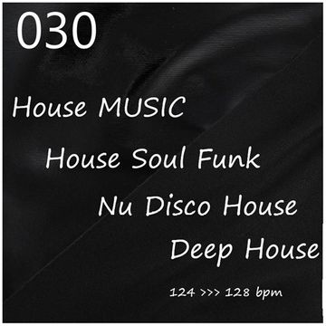 030 - HOUSE MUSIC