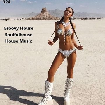 324 - groovy house - Soulfulhouse - House Music - Cool Session