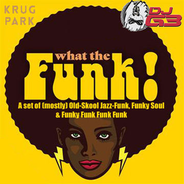 DJ G3 - What The Funk Mix (Live at Krug Park 20230721)