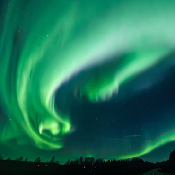 Dub Theory No.40 Limited December 2025