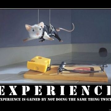 EXPERIENCE