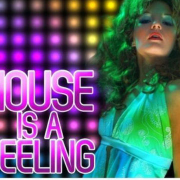 house is a feeling vol 2