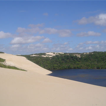 trepi