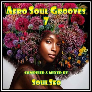 Afro Soul Grooves 7
