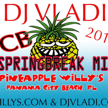 DIRTY DUTCH HOUSE/TWERK SPRINGBREAK PCB 