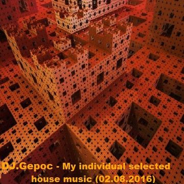 DJ.Gepoc - My individual selected house music (02.08.2016)