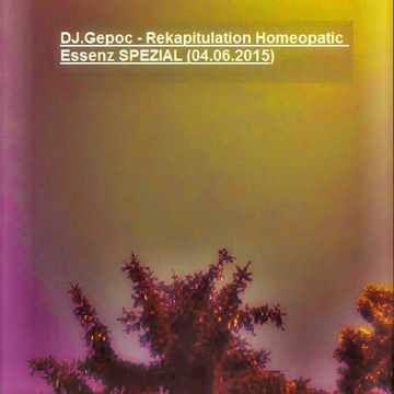 DJ.Gepoc - Rekapitulation Homeopatic Essenz SPEZIAL (04.06.2015)