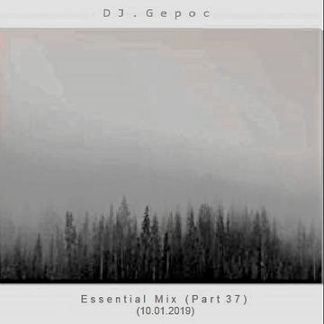 DJ.Gepoc - Essential Mix (Part 37) (10.01.2019)