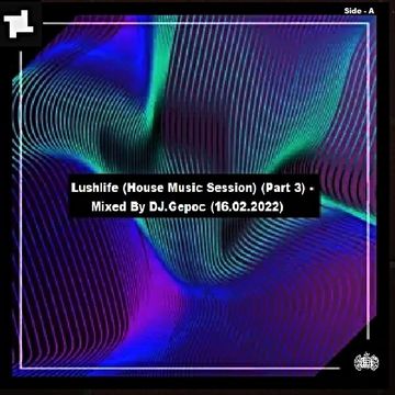 Lushlife (House Music Session) (Part 3) (Side A) - Mixed By DJ.Gepoc (16.02.2022)