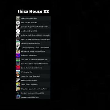 Ibiza House 22