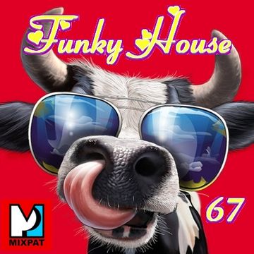 Funky House 67