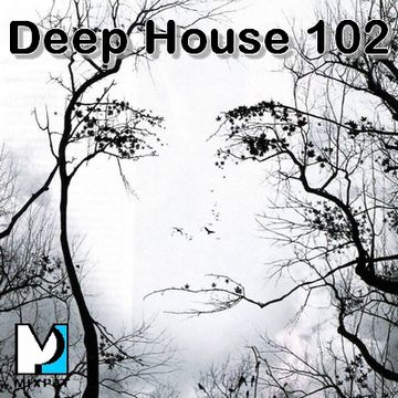 Deep House 102