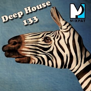 Deep House 133