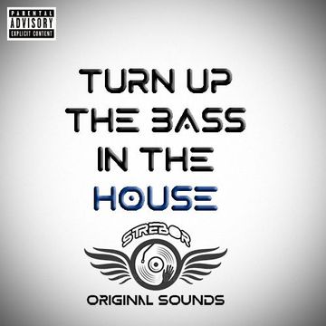 Turn Up The Bass In The House