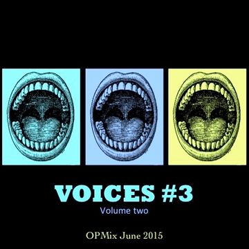 Voices 3 - volume 2