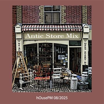 Antic Store Mix 08.2025