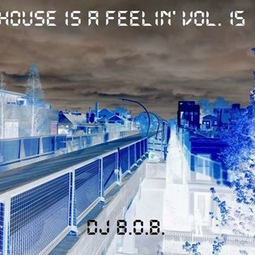 HOUSE IS A FEELIN' VOL.15 DJ B.O.B.