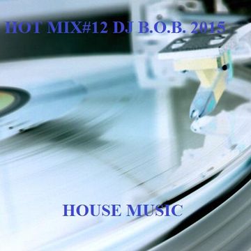 HOT MIX 12 DJ B.O.B. 2015