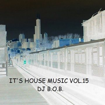 IT'S HOUSE MUSIC VOL.15 DJ B.O.B.