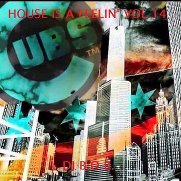 HOUSE IS A FEELIN' VOL.14 DJ B.O.B.