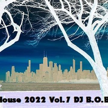 House 2022 Vol.7 DJ B.O.B.