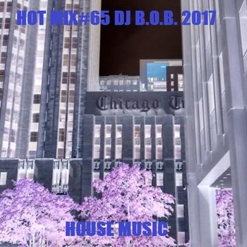 HOT MIX65 DJ B.O.B. 2017