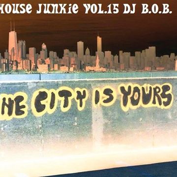 HOUSE JUNKIE VOL.15 DJ B.O.B.