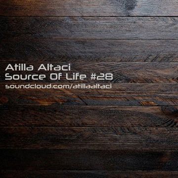 Atilla Altaci - Source Of Life #28