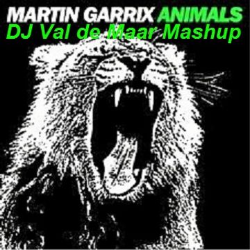 Martin Garrix - Animals (DJ Val de Maar Mashup)