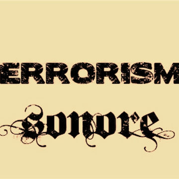 terrorisme-sonore