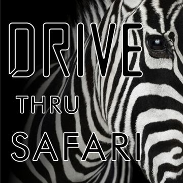 Drive Thru Safari 013115