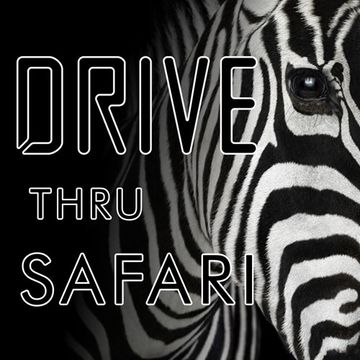 Drive Thru Safari 061716