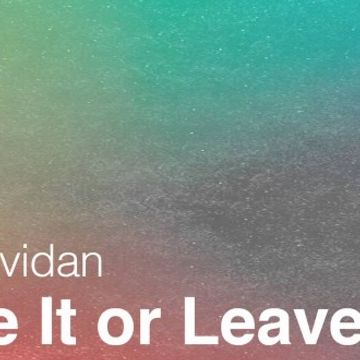 Asaf Avidan - Love It Or Leave It (Topereira Remix)