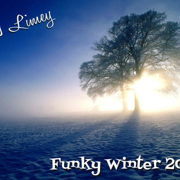 Funky Winter 2014 (Dark Fruits N'a Touch of Lime)