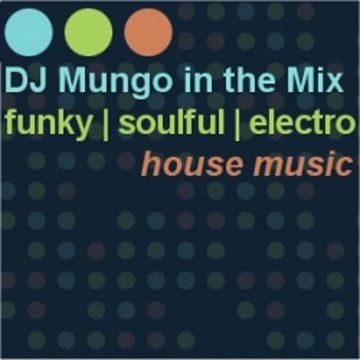 DJ Mungo in the Mix (300) (Early House Classics)