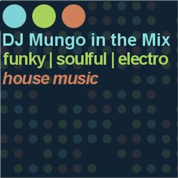 DJ Mungo in the Mix (307)