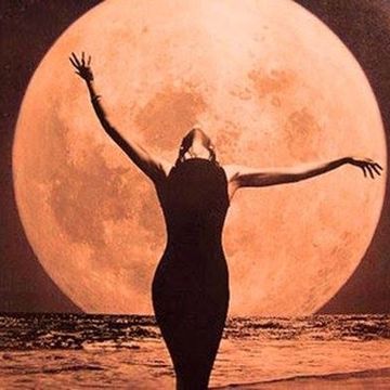 Dance Under The Moon