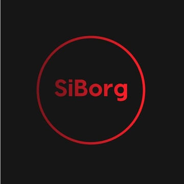 SiBorg Jungle/DnB