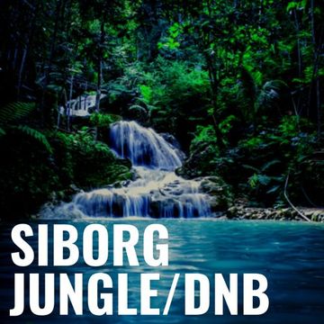 Jungle/DnB