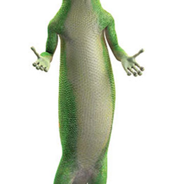 geko